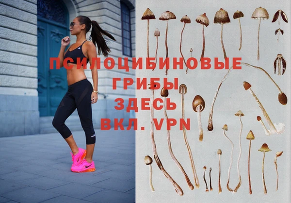 не бодяженный Аркадак